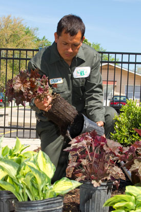 Landscape Installation