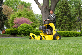Landscape Maintenance Plainfield