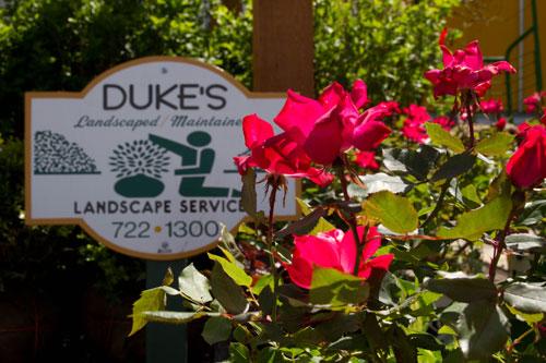 Duke's Landscaping Service