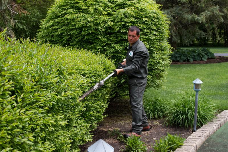 Duke's Landscaping Maintenance