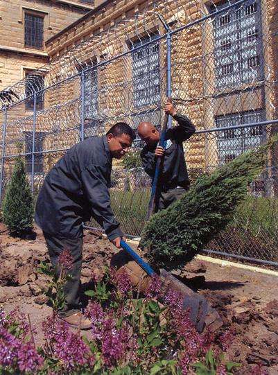 Joliet Prison Project